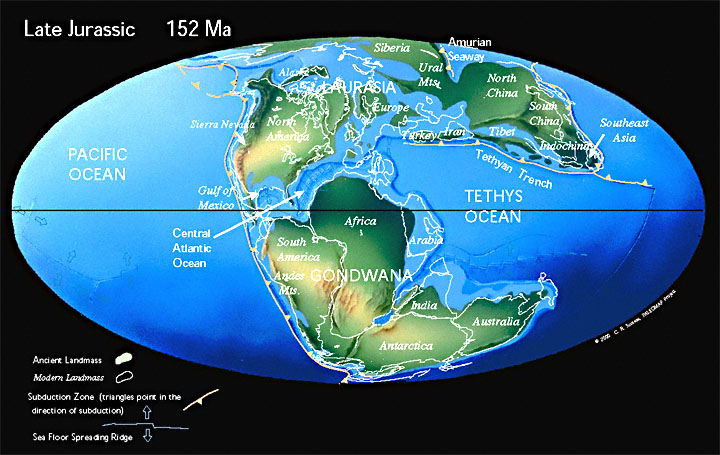 late cretaceous period